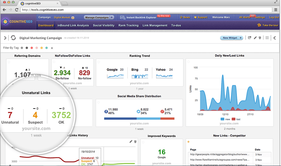 Backlink-Analysis-Content-Audit-and-Rank-Tracking-To-Exponentially-Boost-Your-Traffic